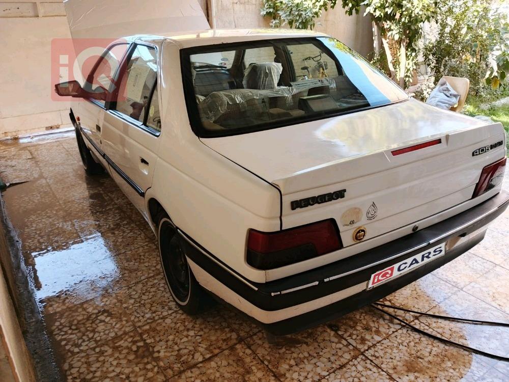 بیجۆ 405